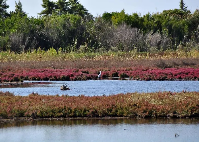 Stylish Privet Poolside * Ájosz Jeórjosz