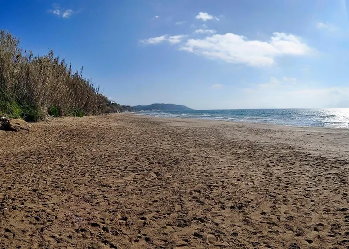 Stylish Privet Poolside *