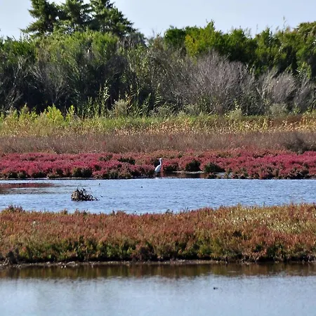 Stylish Privet Poolside * Agios Georgios (Corfu)