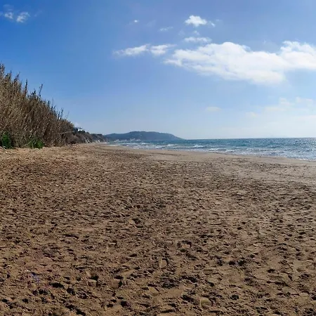 Stylish Privet Poolside *